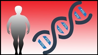  UGR estudia la relación del gen FTO con la depresión y la obesidad